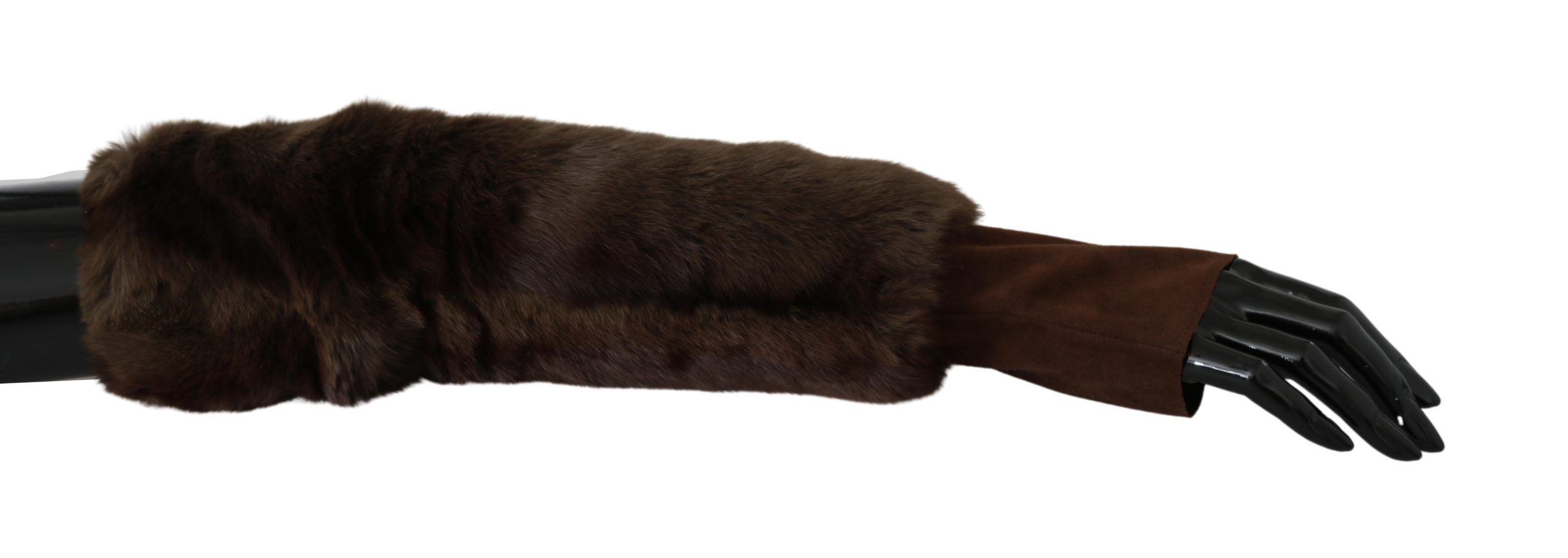 1204847.jpg