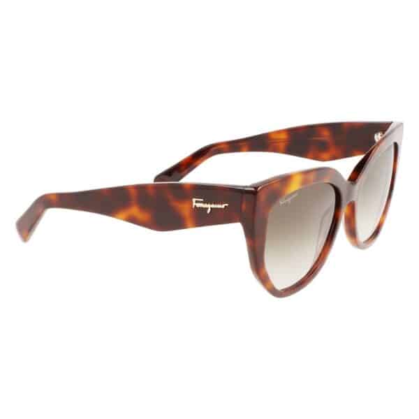 Ferragamo Brown Acetate Sunglasses – Image 3