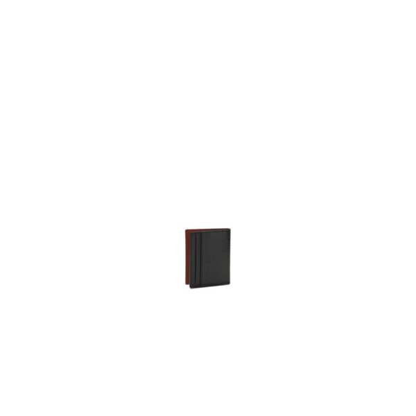 8428977.jpeg